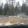Газ