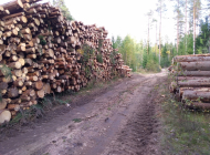 Газовики вывозят с просеки лес